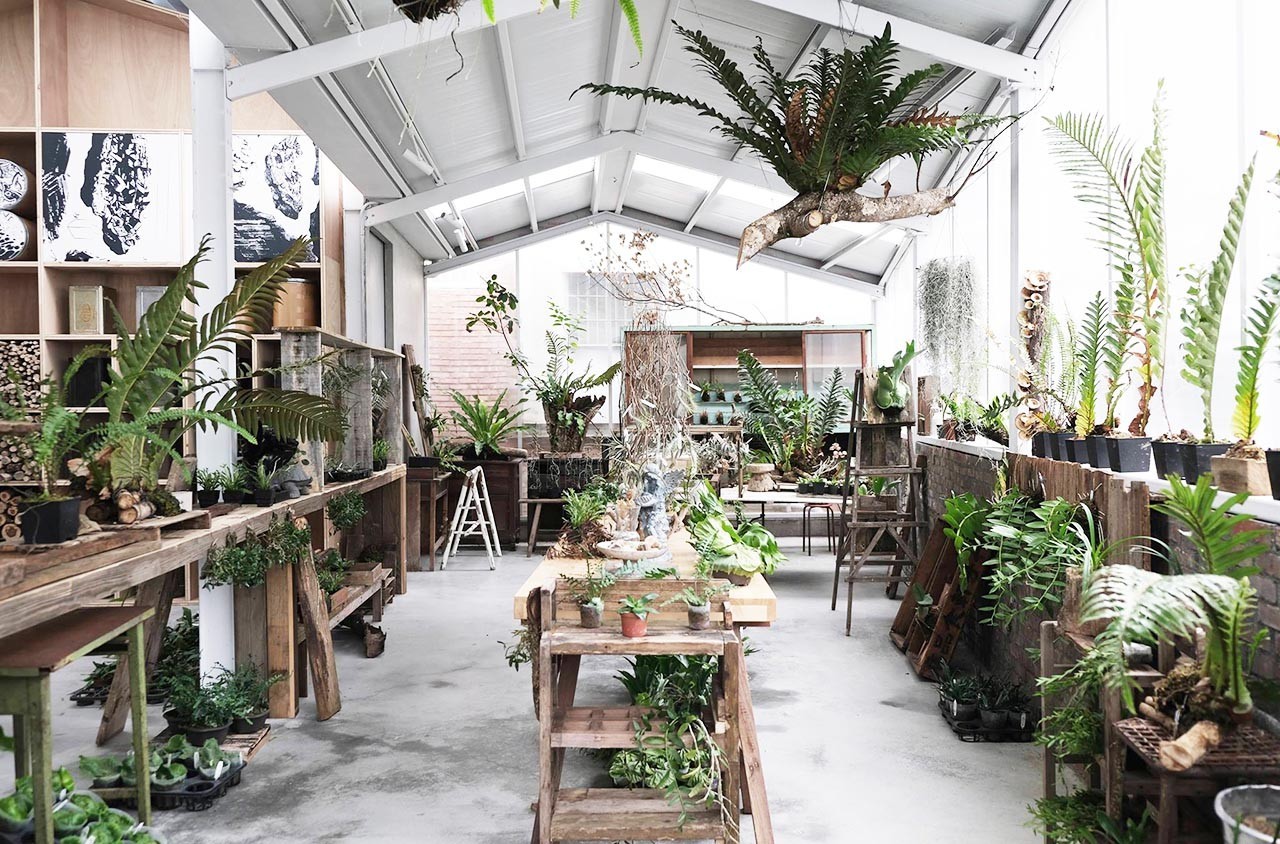 全台6 間質感植物店推薦 手作植栽融入設計 挖掘城市裡的新植感美學 Shoppingdesign