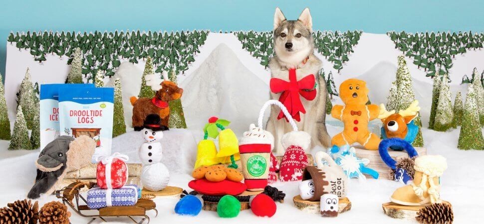 BarkBox.jpg