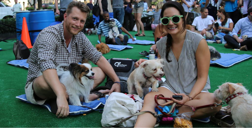 BarkBox3.png