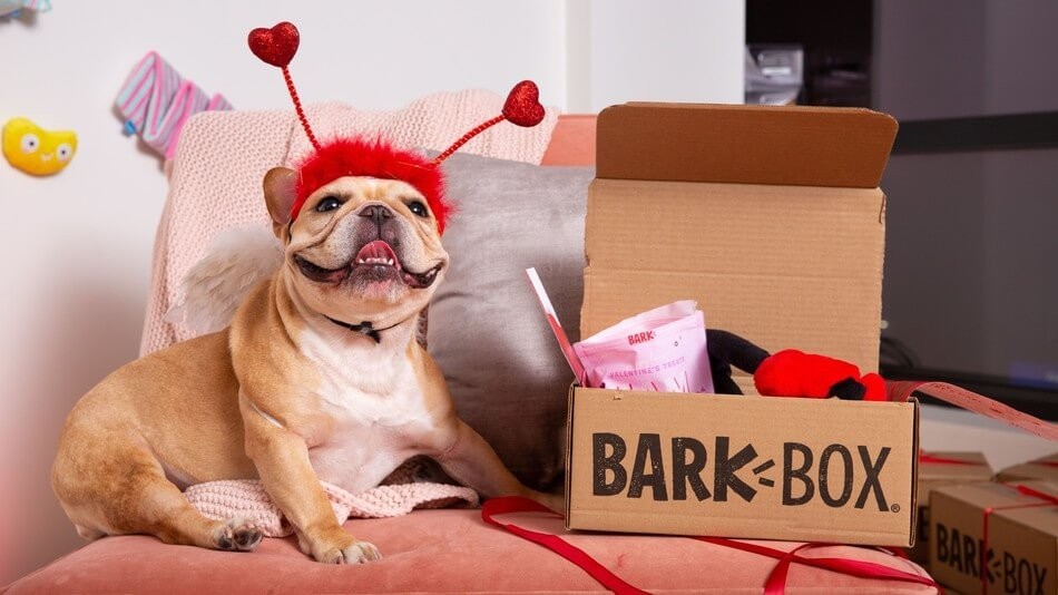 BarkBox5.jpg