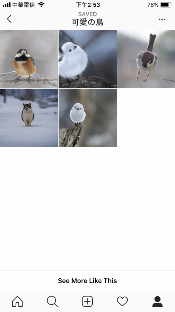 IMG_3912.PNG