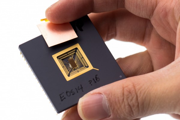 RISC-V.jpg