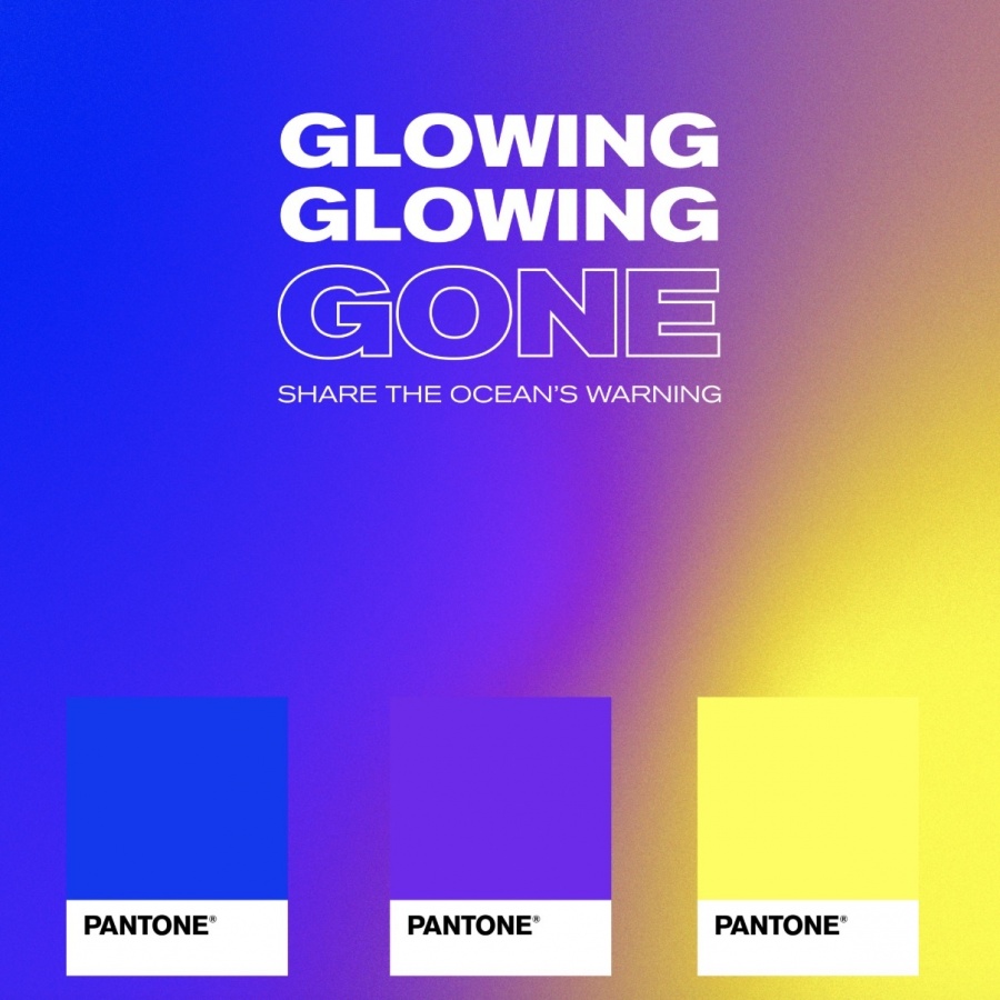 珊瑚-GlowingGone.jpg
