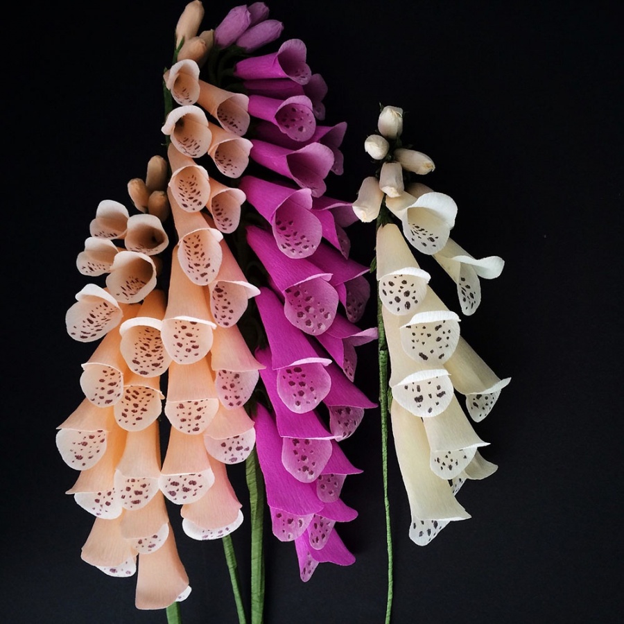 紙花藝術家 Kate Alarcon 01.jpg