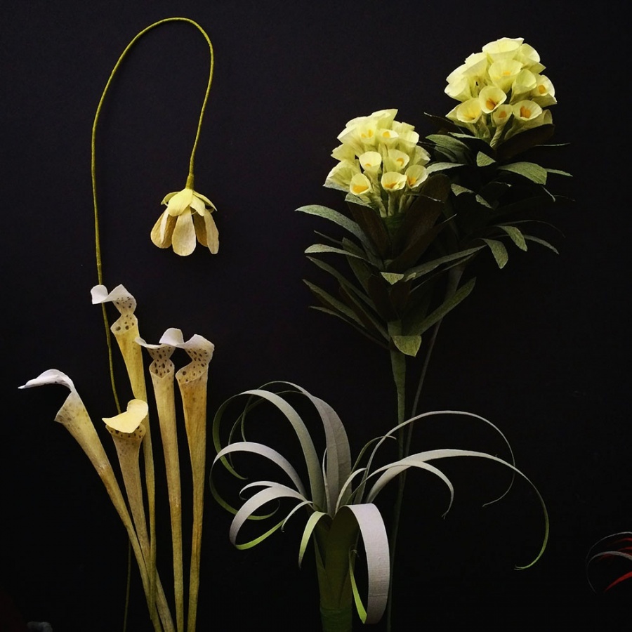 紙花藝術家 Kate Alarcon 05.jpg