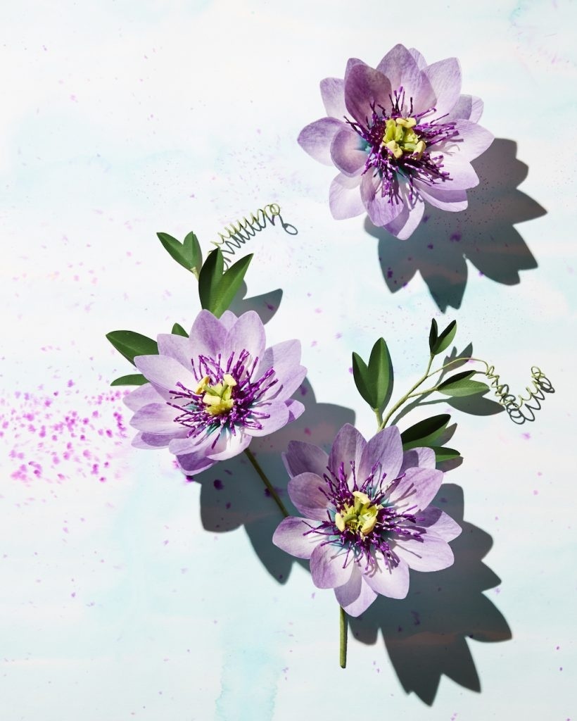 紙花藝術家 Livia Cetti 05.jpg