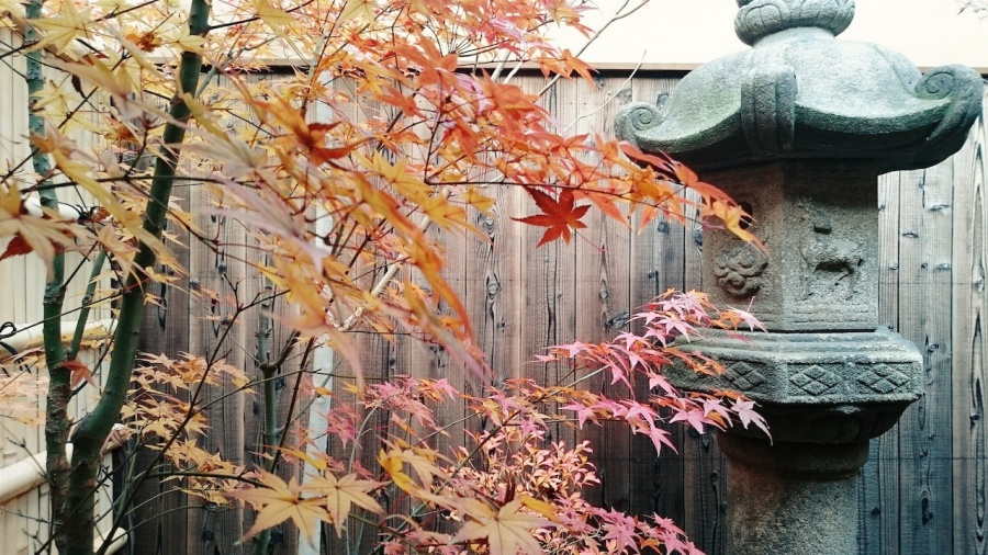 京都-樸宿-庭6.jpg