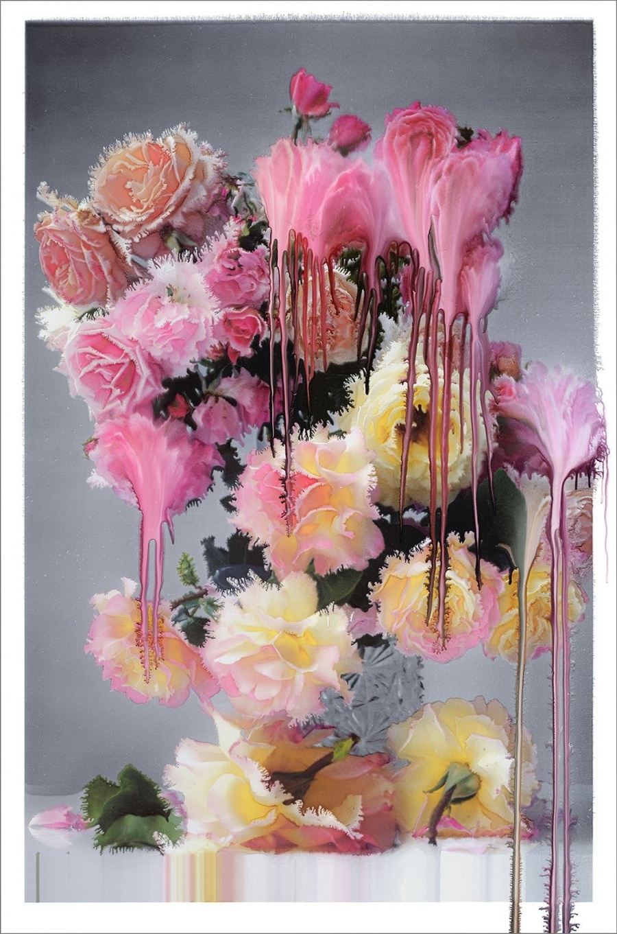 Rose Photo Paintings_Nick Knight 02.jpg