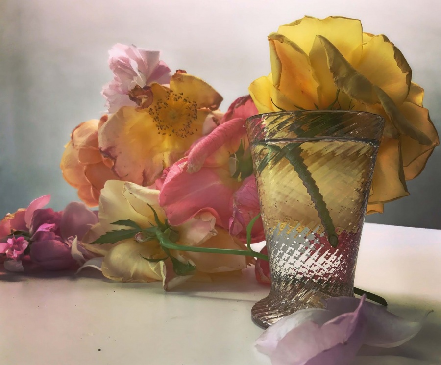 Roses from My Garden_Nick Knight_01.jpg