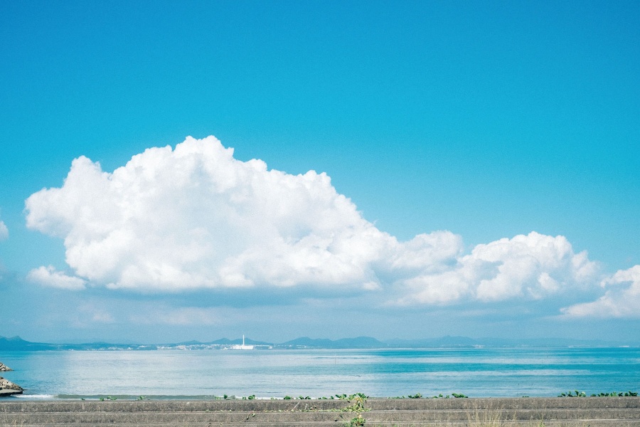 叮咚拍海.jpg