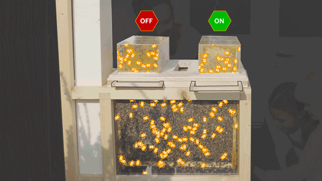 城市養蜂-b-box-06.gif