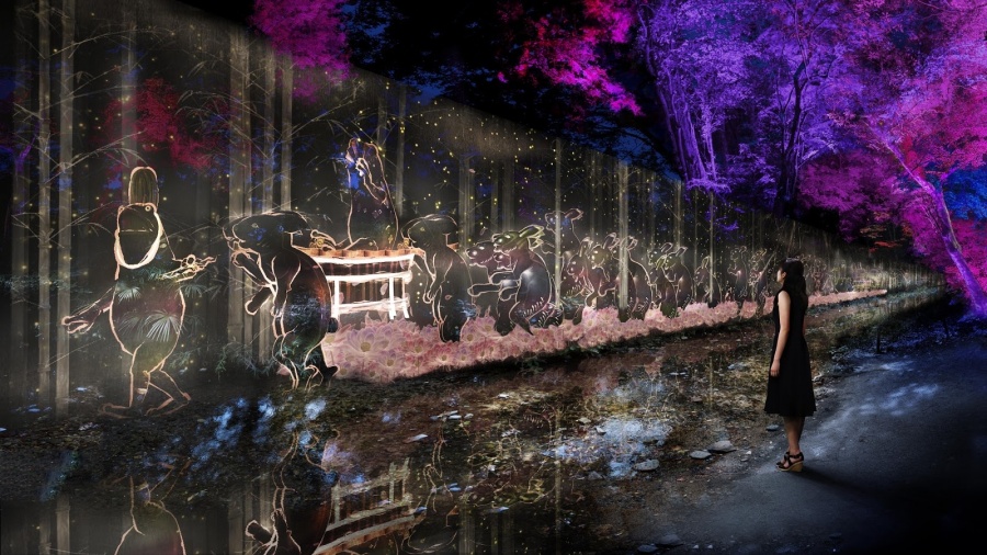 teamLab 下鴨神社 2019 Walk, Walk, Walk - 下鴨神社 糺之森_a1.j