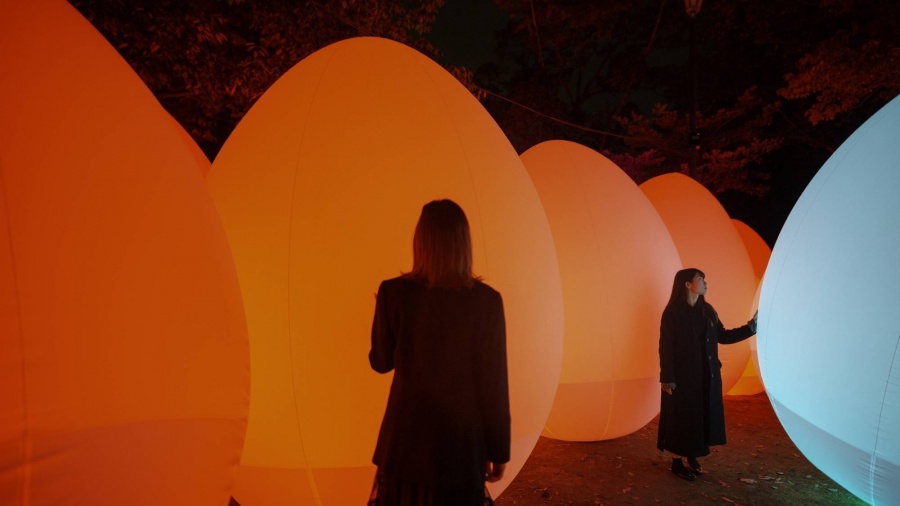 teamLab 下鴨神社 2019 自立而相呼應的生命之森_e2.jpg