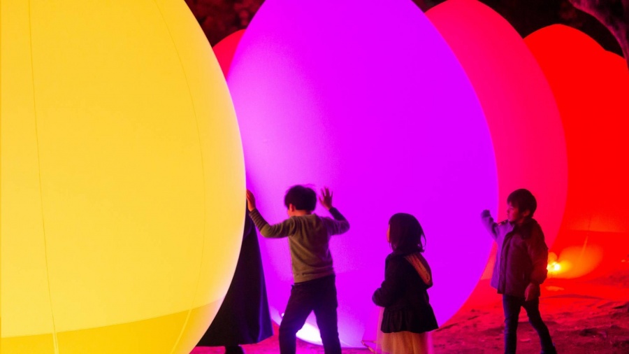 teamLab 下鴨神社 2019 自立而相呼應的生命之森_e3.jpg