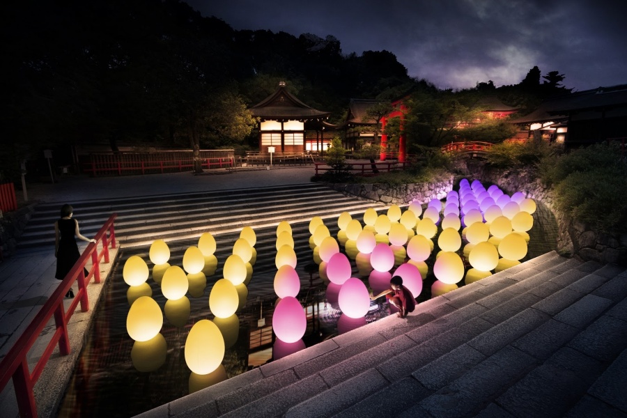 teamLab 下鴨神社 2019 佇立水面自主而相呼應的生命- 下鴨神社 御手洗池_d1.jpg