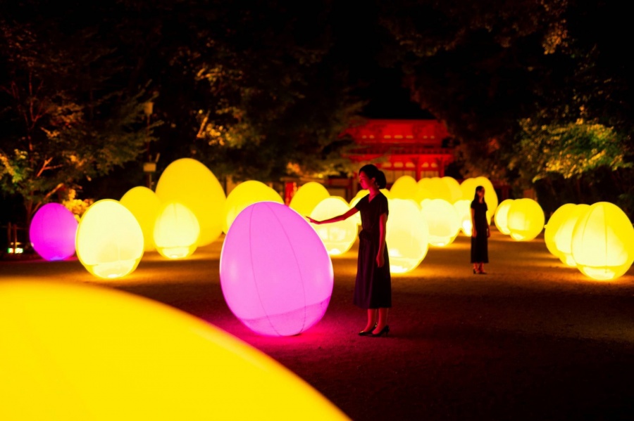 teamLab 下鴨神社 2019 相互呼應的森林與自立呼應的生命 - 下鴨神社 糺之森_c2.jp
