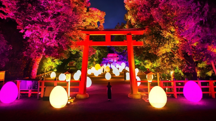 京都下鴨神社teamLab.jpg