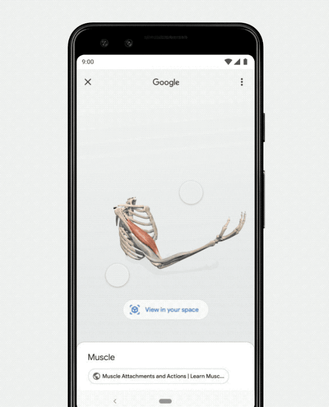 google search5.gif