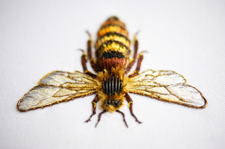 Laura Baverstock-立體刺繡-昆蟲.jpg