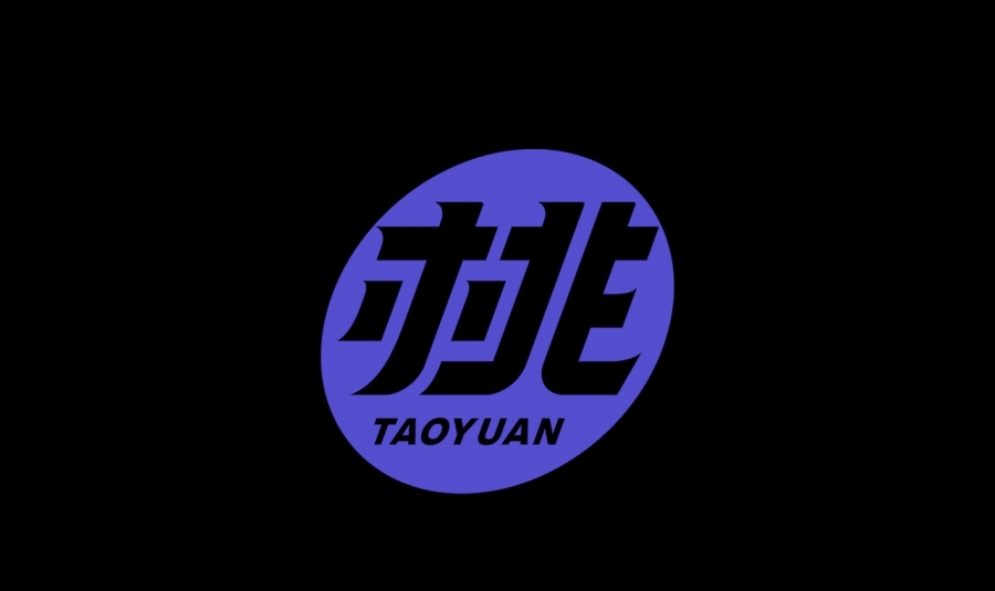 桃園隊_VIS品牌規範.jpg