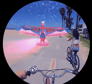 SNAP4.gif