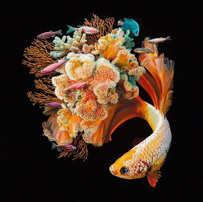 Lisa Ericson 03_2 Bloom.jpg