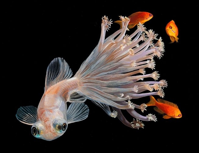 Lisa Ericson 03_3 Ghost.jpg