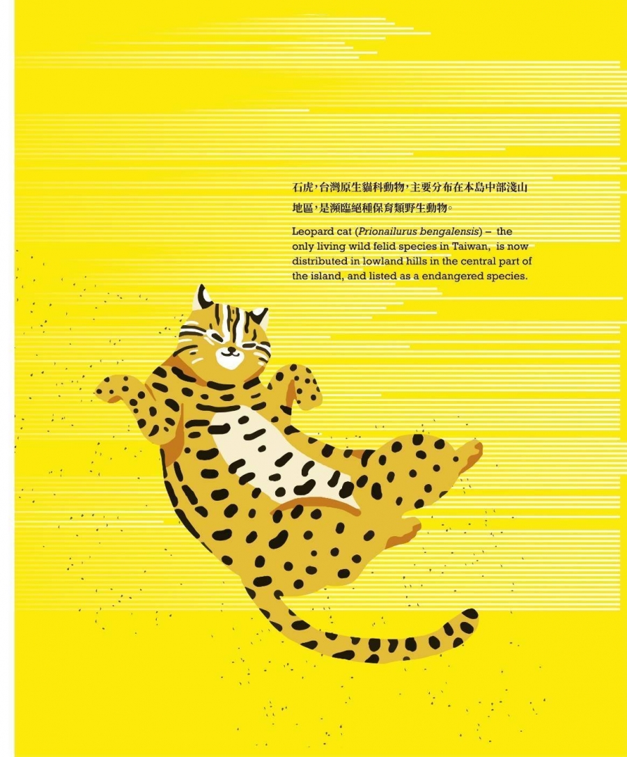觀光局-石虎.jpg