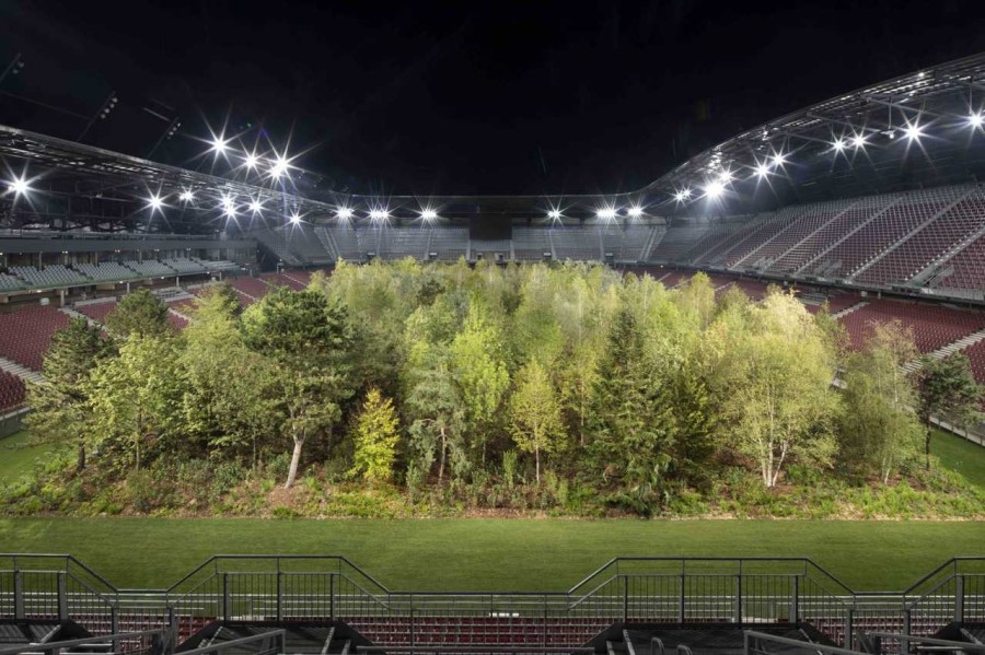 For Forest-02.jpg