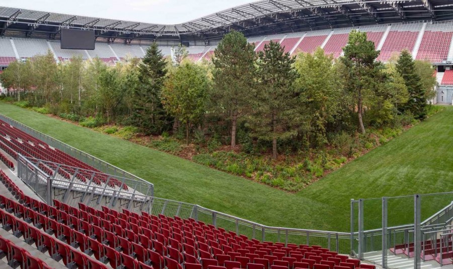 For Forest-07.jpg