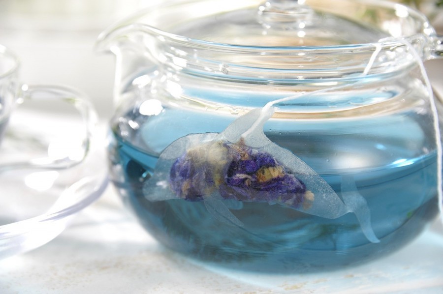 海洋生物茶包21.jpg