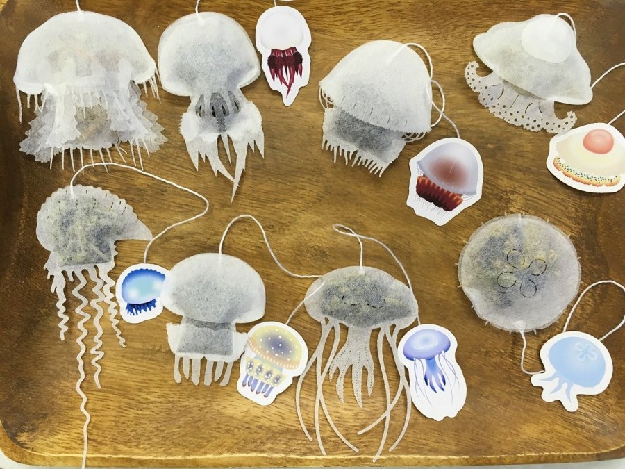 海洋生物茶包26.jpg