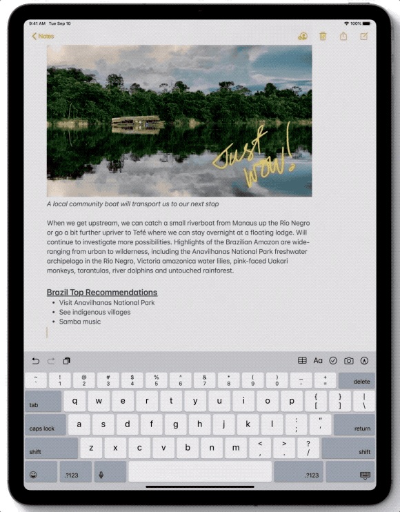 iPadOS13.gif