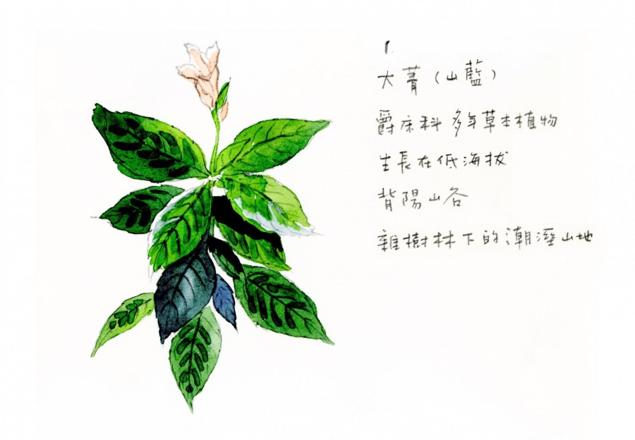 蘑菇MOGU 專欄配圖 11.JPG
