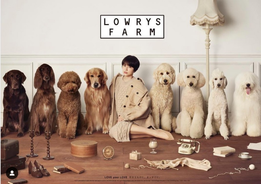 吉田ユニ 個展LOWRYS FARM 01.jpg