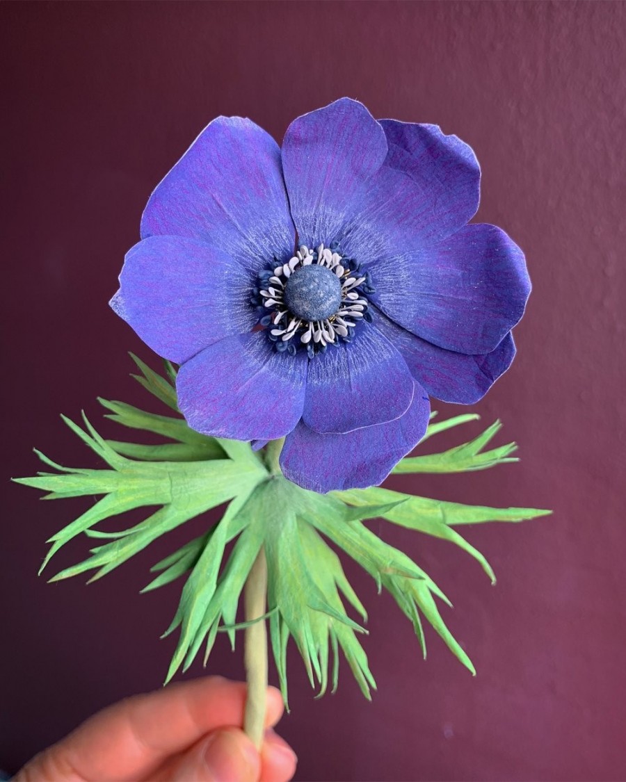 8 Ann Wood Woodlucker flowers_09.jpg 纸艺术的全新境界!美国艺术家奶奶 Ann Wood 似幻似真的纸花、蔬果、羽毛、昆虫 8