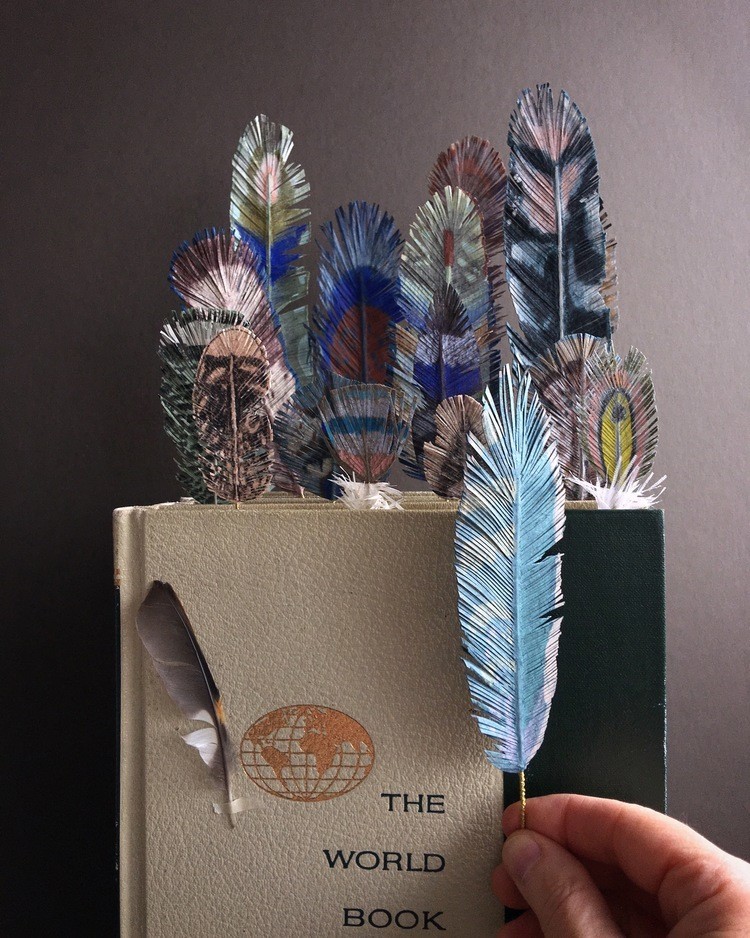 9 Ann Wood Woodlucker feathers_04.jpg 纸艺术的全新境界!美国艺术家奶奶 Ann Wood 似幻似真的纸花、蔬果、羽毛、昆虫 9