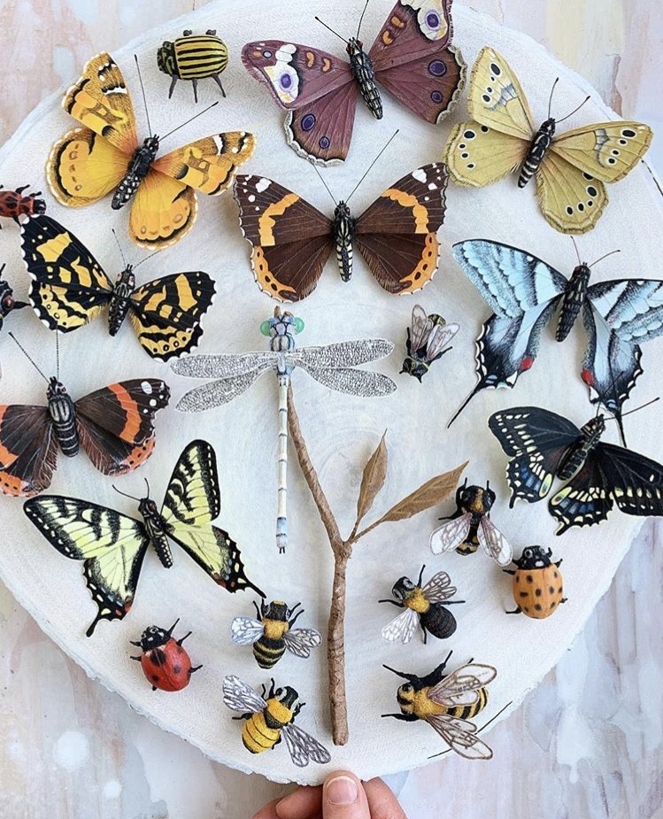 12 Ann Wood Woodlucker Insects_05.jpg 纸艺术的全新境界!美国艺术家奶奶 Ann Wood 似幻似真的纸花、蔬果、羽毛、昆虫 12
