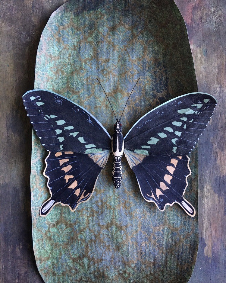 13 Ann Wood Woodlucker Insects_06.jpg 纸艺术的全新境界!美国艺术家奶奶 Ann Wood 似幻似真的纸花、蔬果、羽毛、昆虫 13