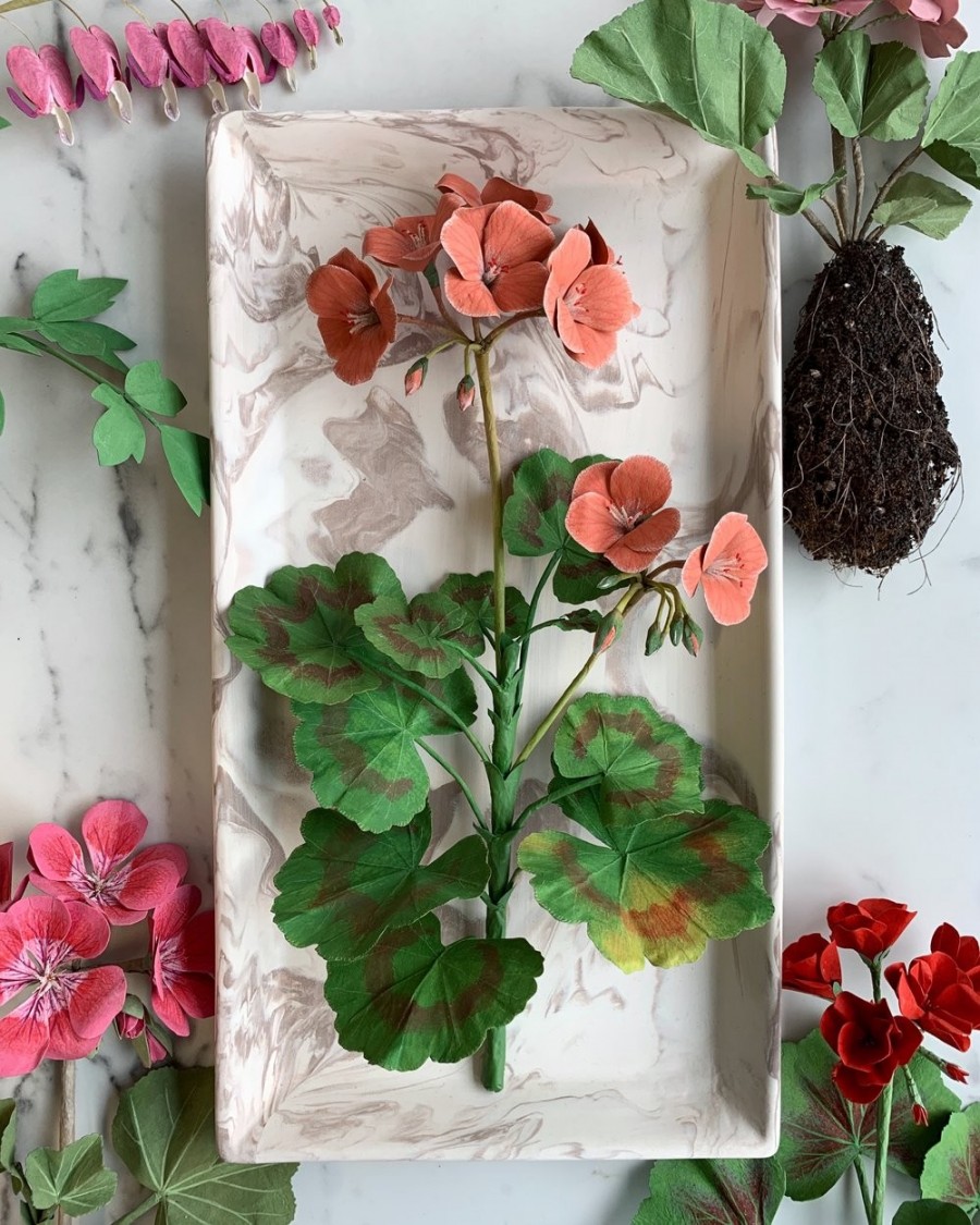 Ann Wood Woodlucker flowers_01.jpg 纸艺术的全新境界!美国艺术家奶奶 Ann Wood 似幻似真的纸花、蔬果、羽毛、昆虫 1