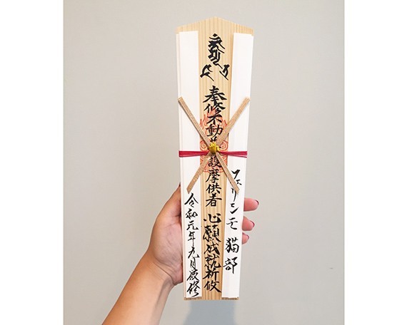 祈求健康 03_Felissimo 貓部.jpg