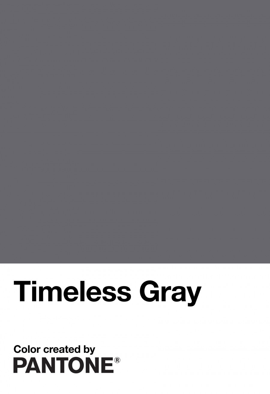 PANTONE® 永恆灰 Timeless Gray.jpg