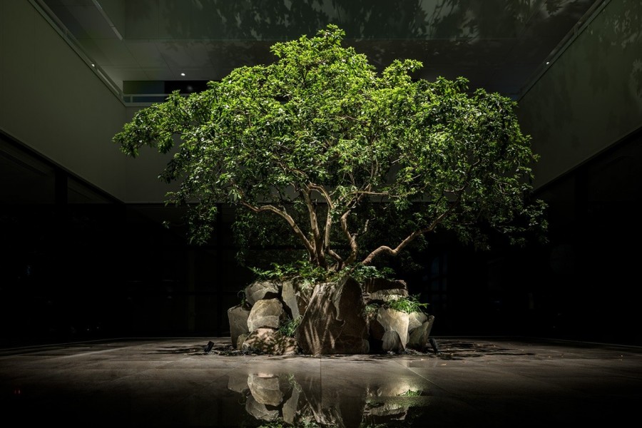 Enso Ango_tomi2_garden_yoko.jpg