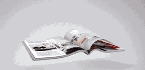 McD6.gif