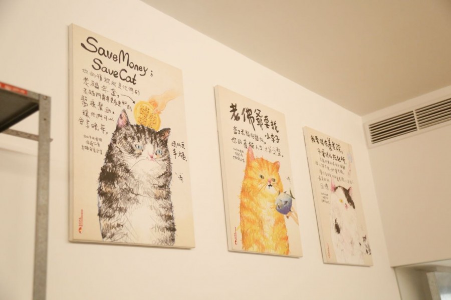 小大_MG_2297.JPG