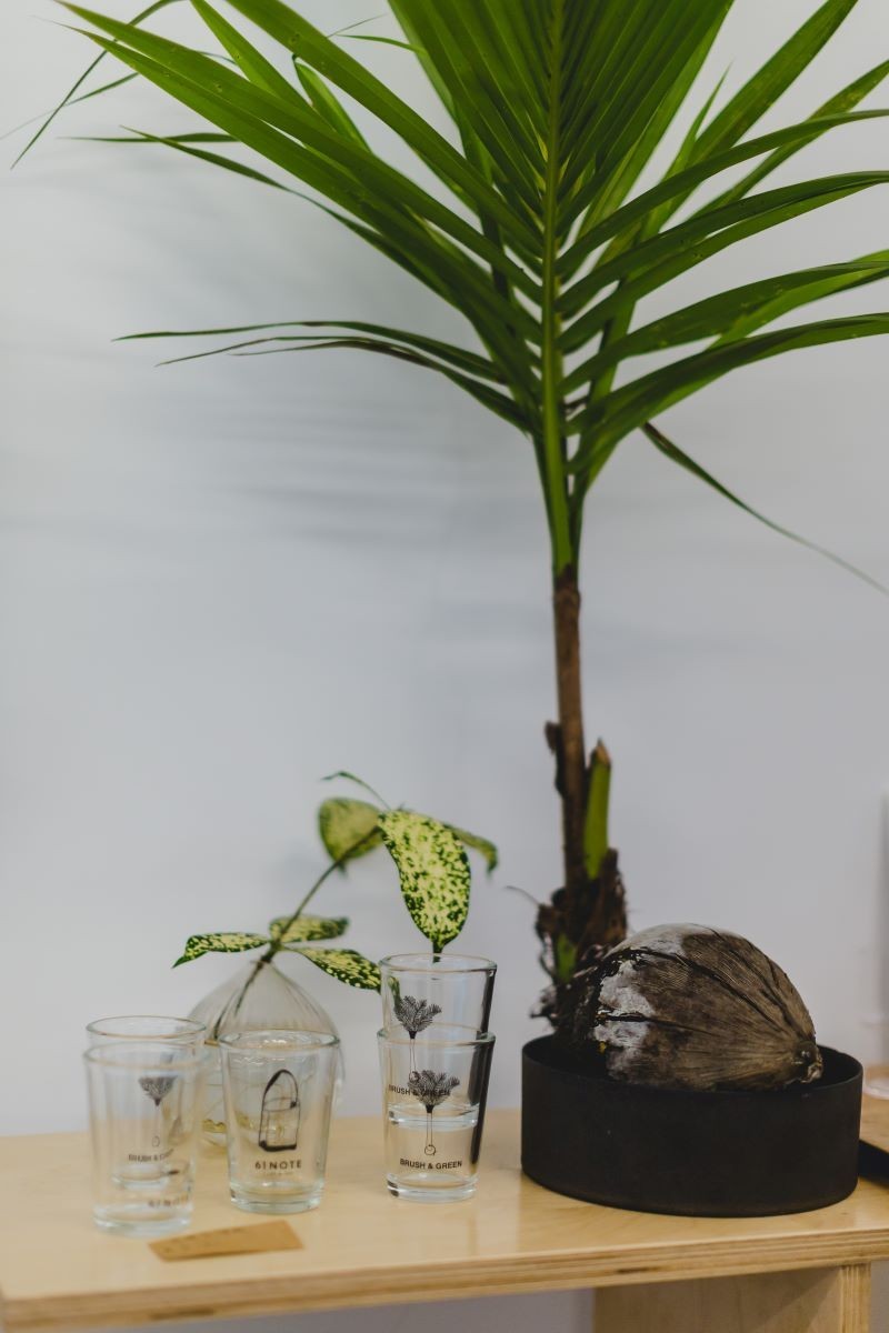 green&brush__74A5453.jpg