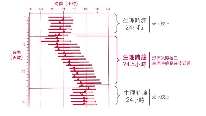 解密生理時鐘_1.jpg
