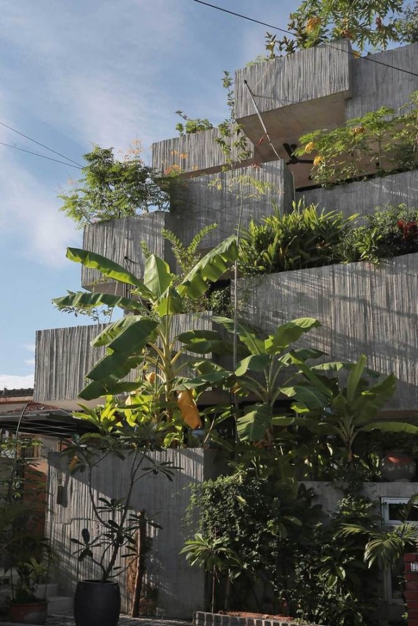 與植物同居 種下40 多種食用植物 他們把家打造成一座都市菜園 Shoppingdesign