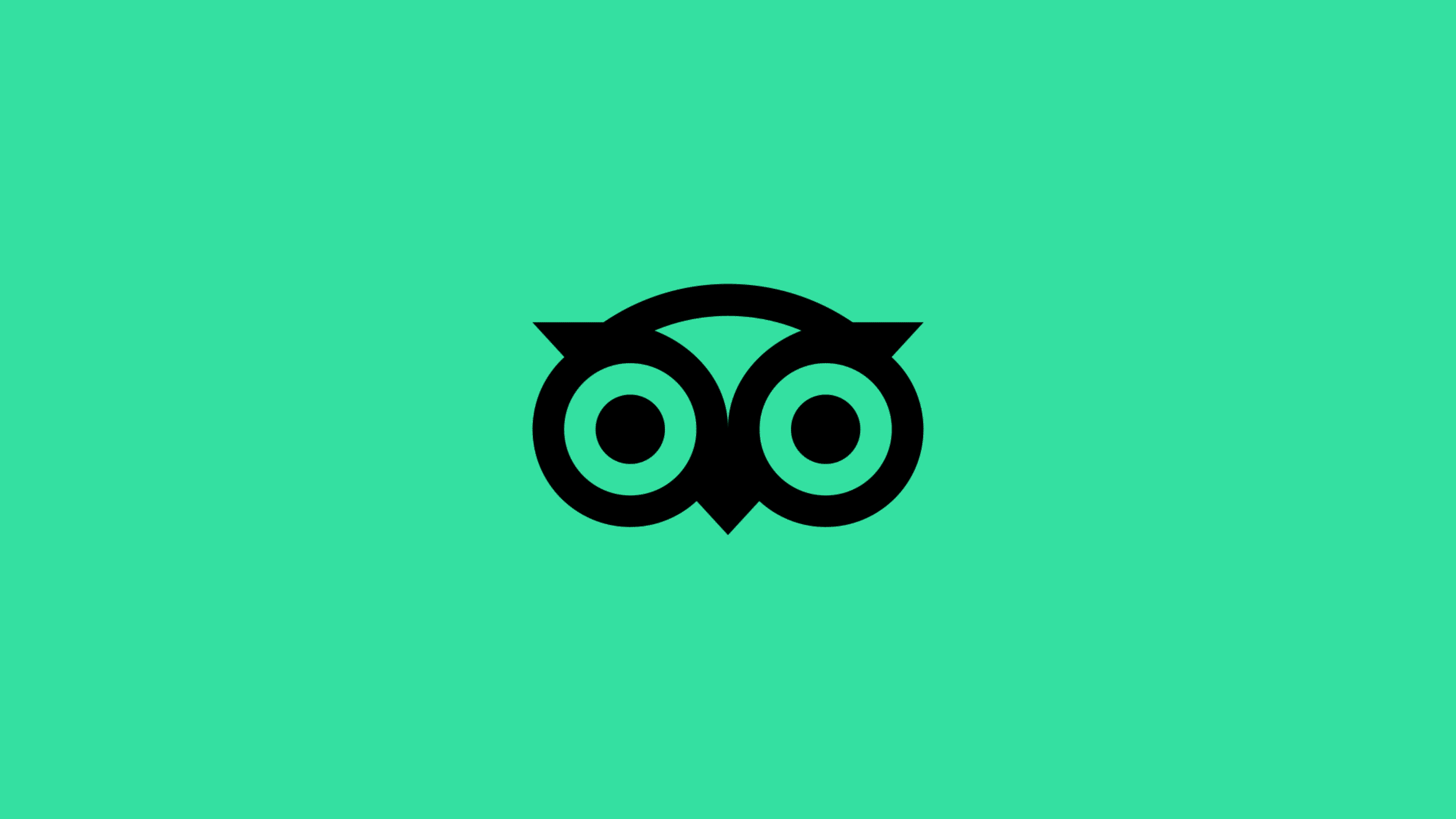 logo設計_Tripadvisor06.gif