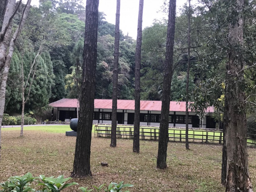 友達的員工訓練中心兼雕塑藝術公園的「麻布山林」。